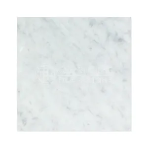 Carrara White Italian (Bianco Carrara) Marble 18 X 18 Field Tile (2 pcs. 3" X 6" Sample Set, Polished)