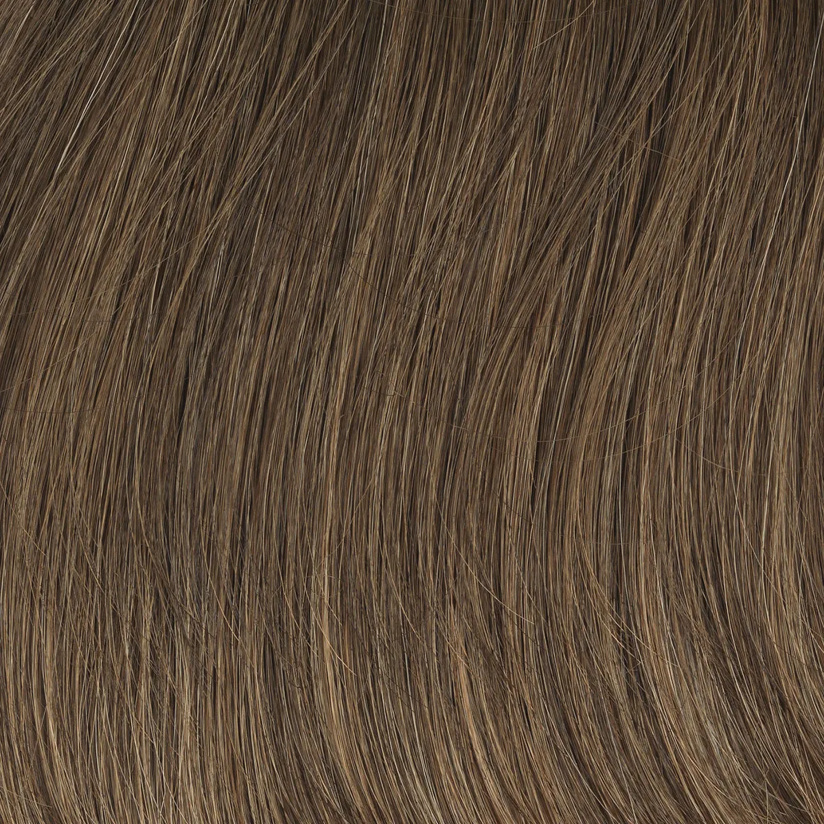 Contempo Cut