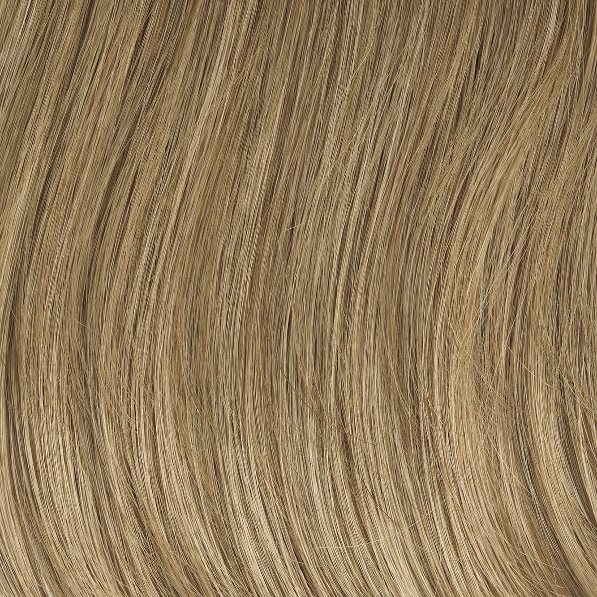 Contempo Cut