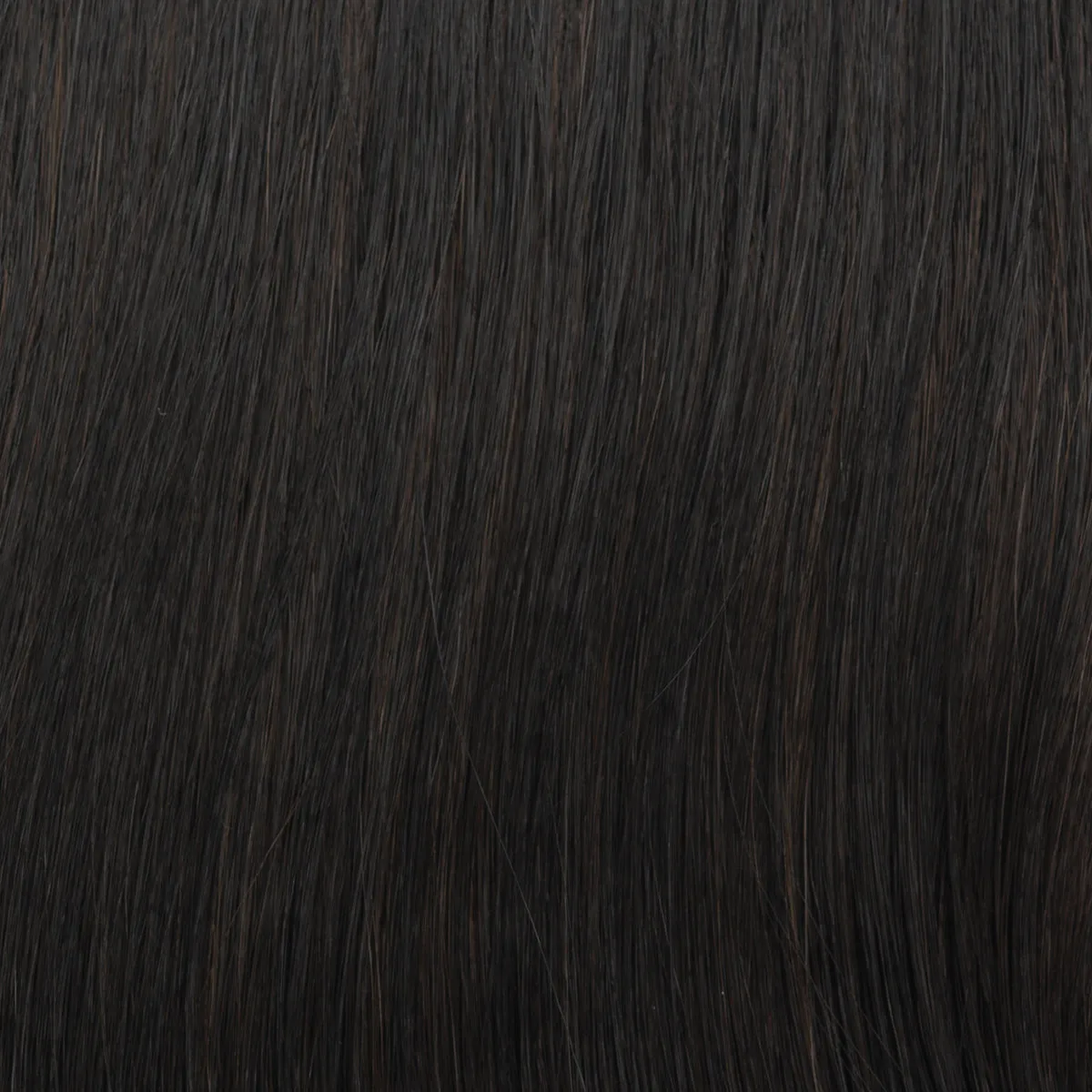 Contempo Cut