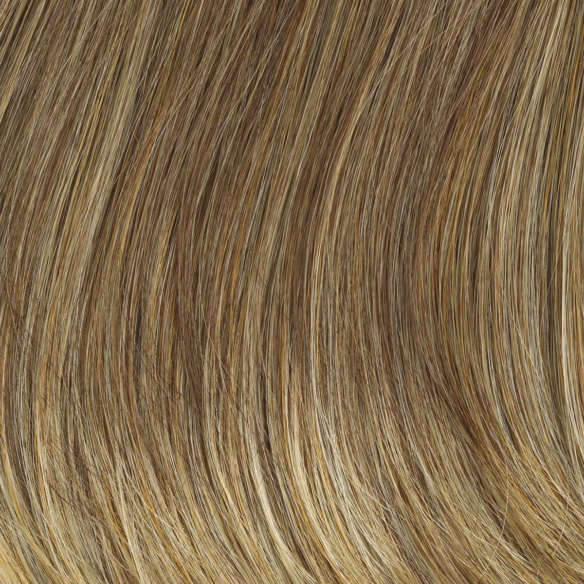 Contempo Cut