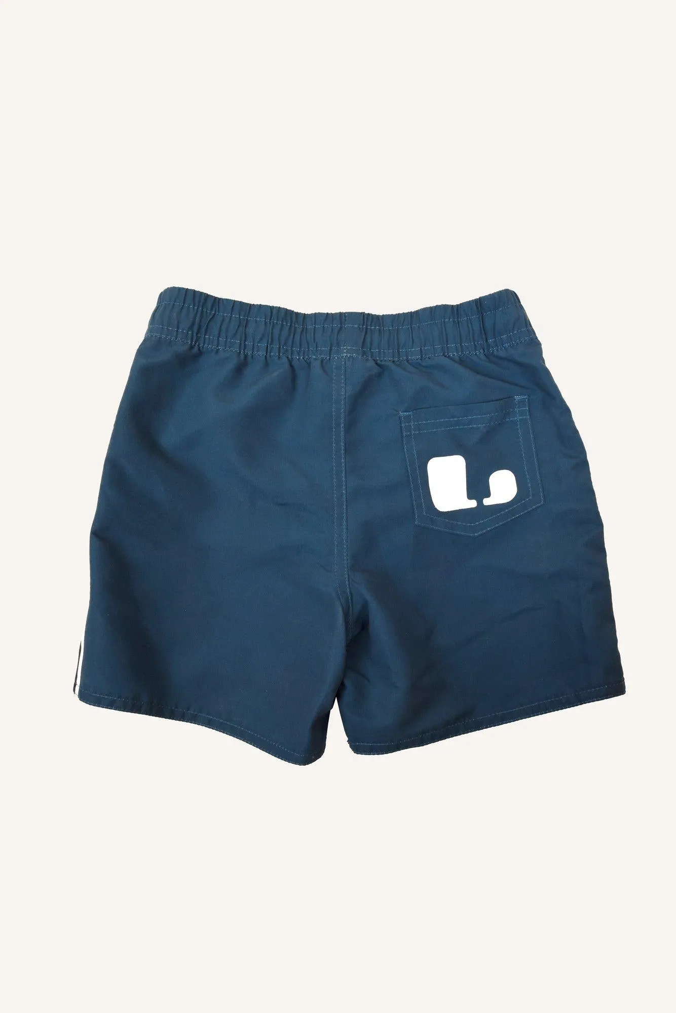 DEXTER BEACH SHORTS - BLUE