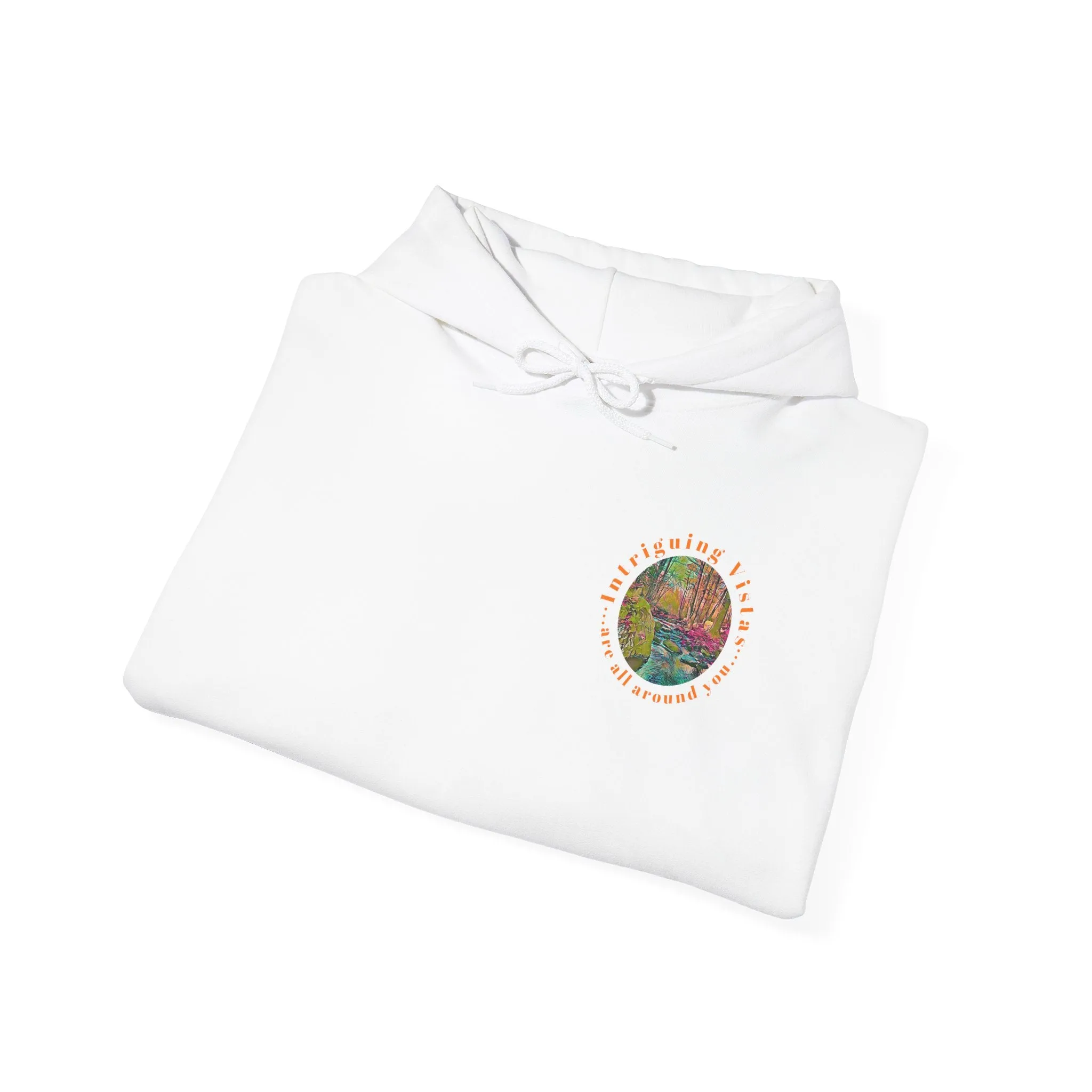 Gildan 18500 Unisex Adult Heavy Blend Crewneck Hooded Sweatshirt from the Sunset Series at Intriguing Vistas