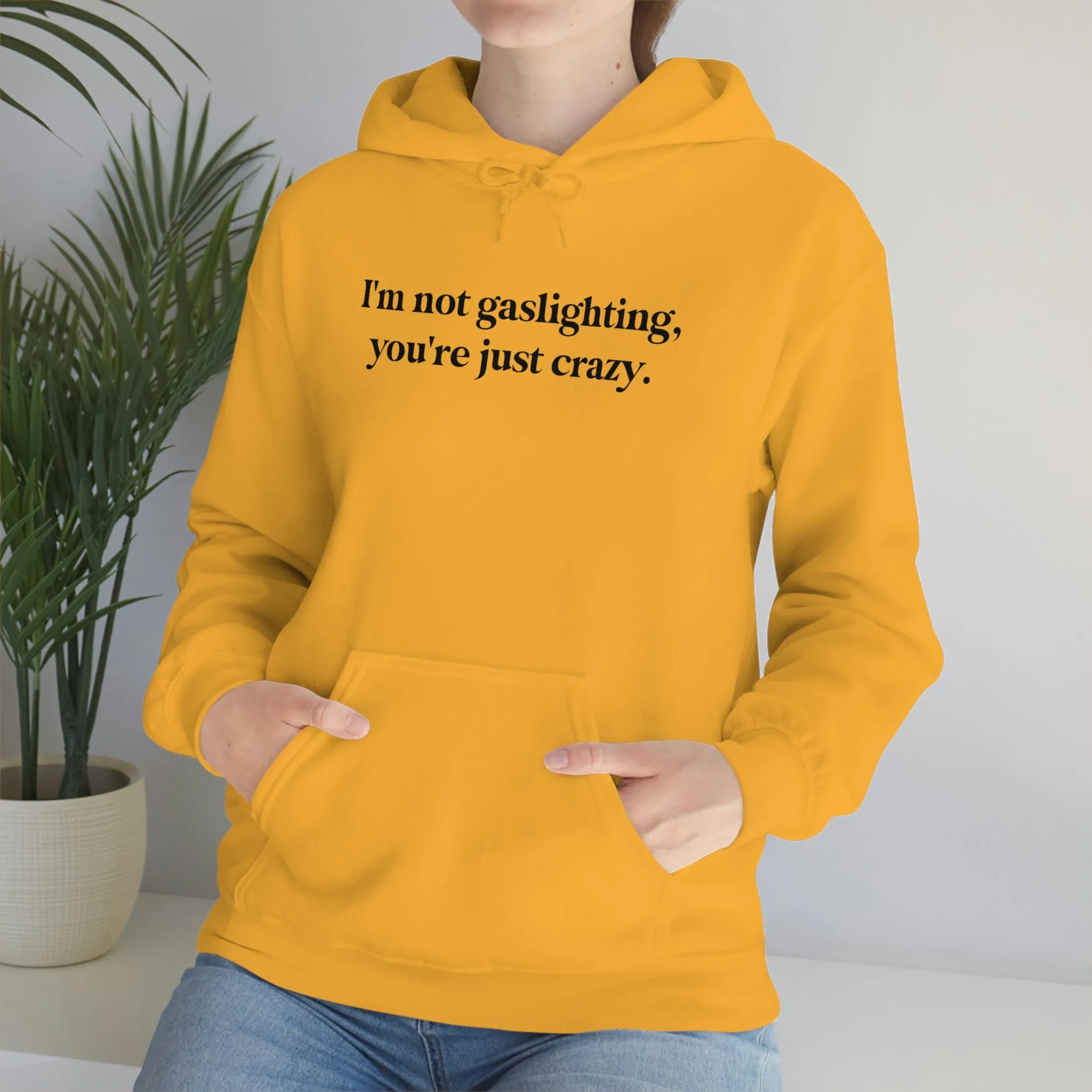 I'm not gaslighting, you're just crazy.