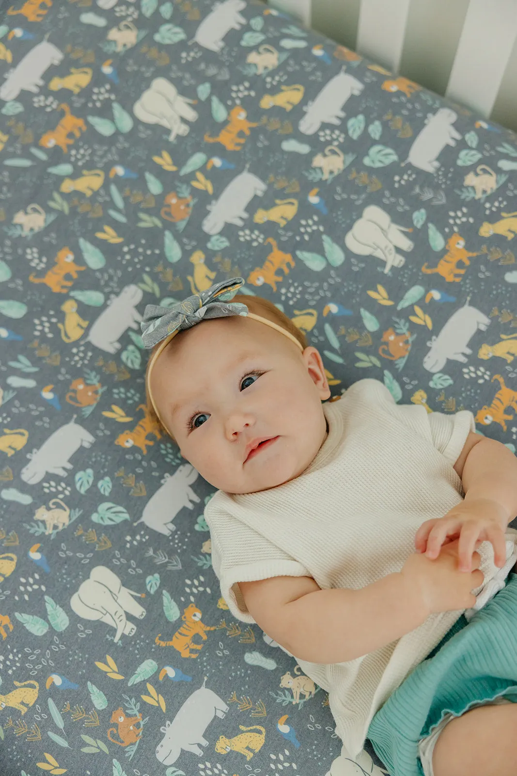 Premium Knit Fitted Crib Sheet - Bengal