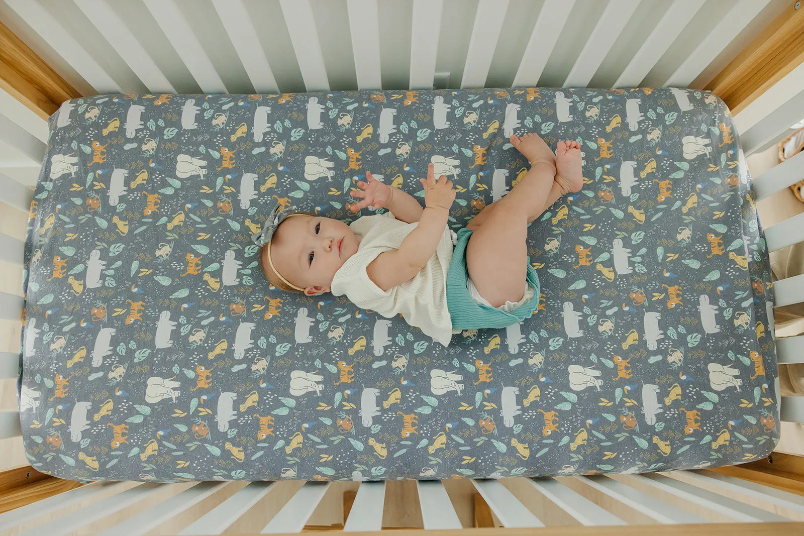 Premium Knit Fitted Crib Sheet - Bengal