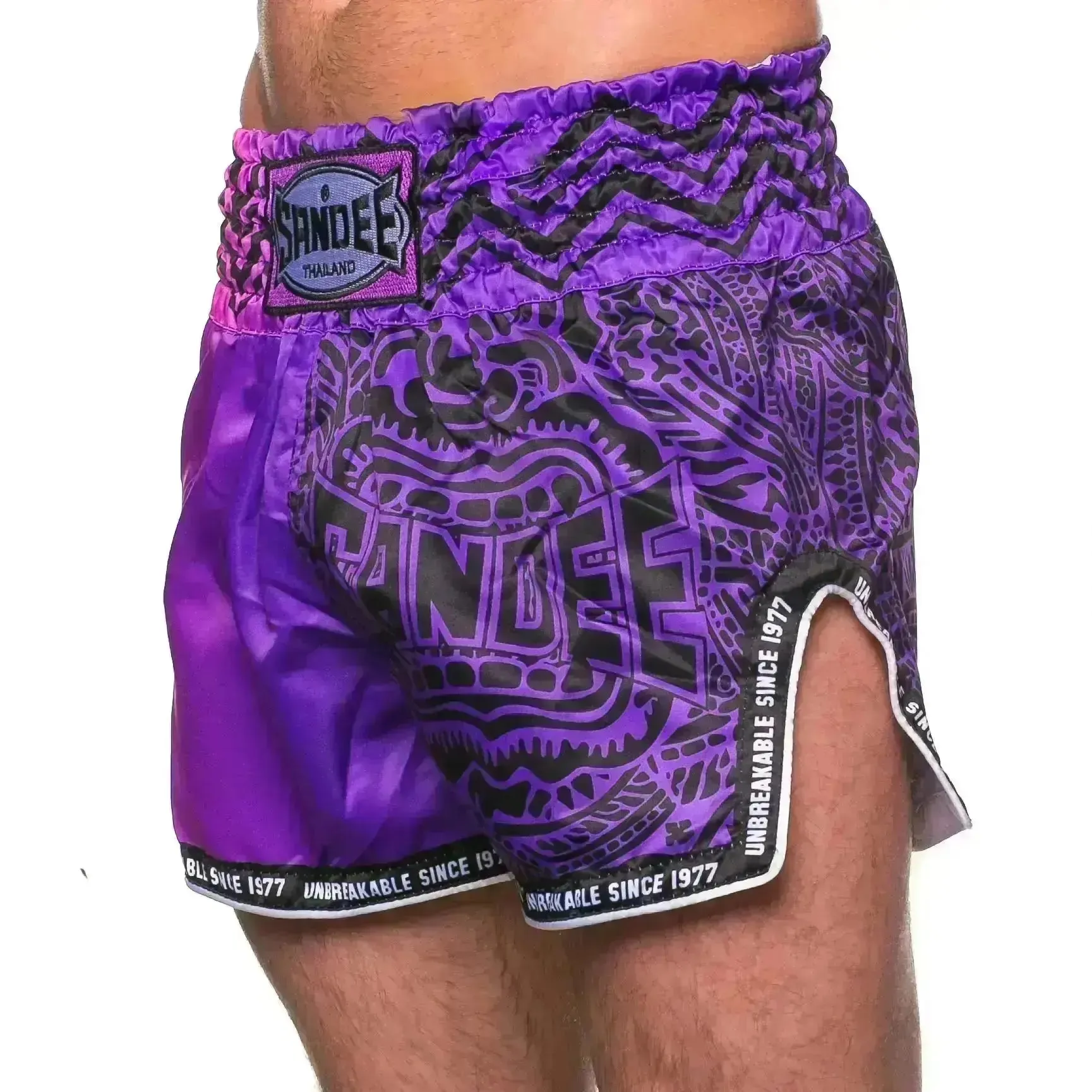 Sandee Warrior Thai Shorts